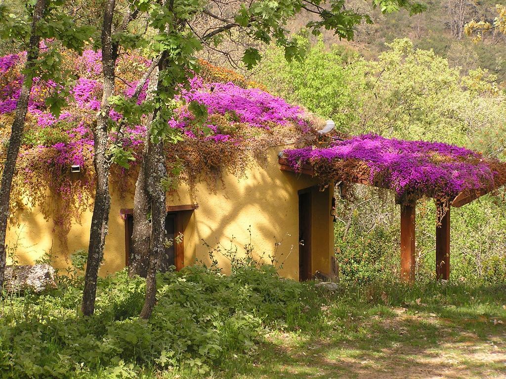 Apartamentos Rurales Ecopangea Valverde de la Vera Quarto foto